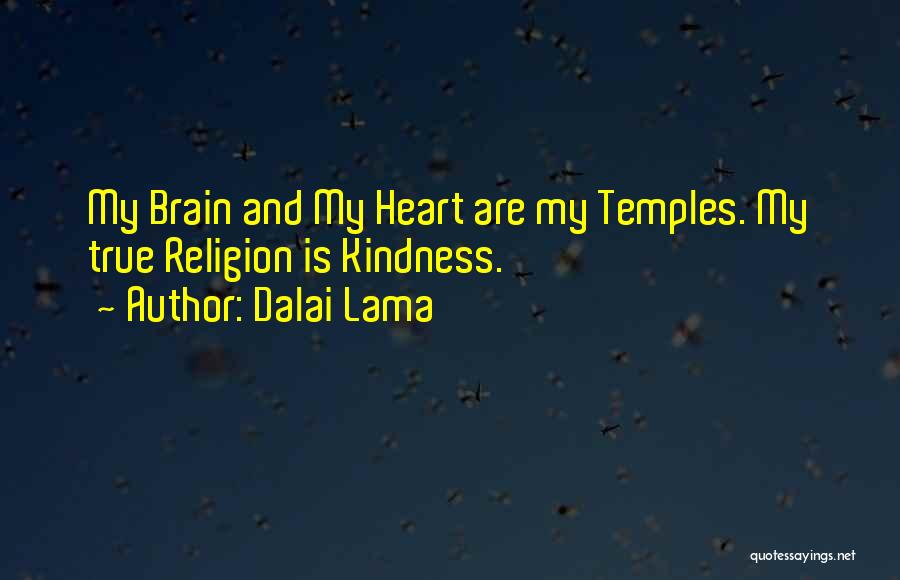 Brain And Heart Quotes By Dalai Lama