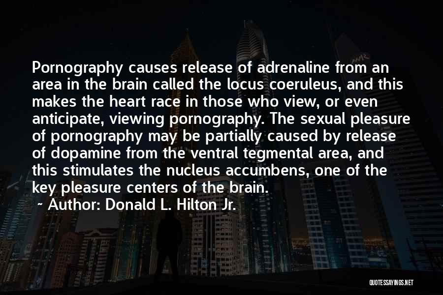 Brain And Heart Quotes By Donald L. Hilton Jr.