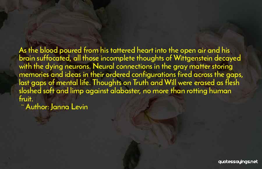 Brain And Heart Quotes By Janna Levin