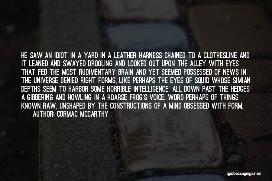 Brain And Intelligence Quotes By Cormac McCarthy