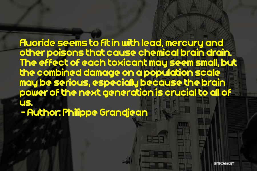 Brain And Intelligence Quotes By Philippe Grandjean