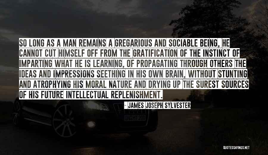 Brain And Learning Quotes By James Joseph Sylvester Brain And Learning Quotes By James Joseph Sylvester