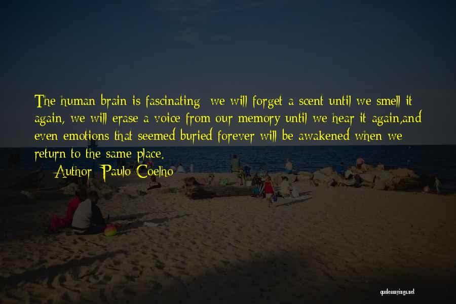 Brain And Memory Quotes By Paulo Coelho