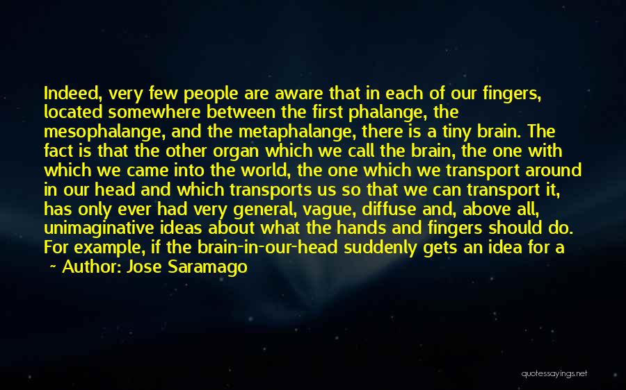 Brain And Music Quotes By Jose Saramago