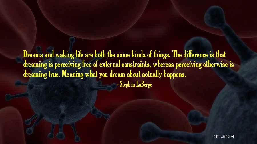 Brain Beauty Behavior Quotes By Stephen LaBerge Brain Beauty Behavior Quotes By Stephen LaBerge