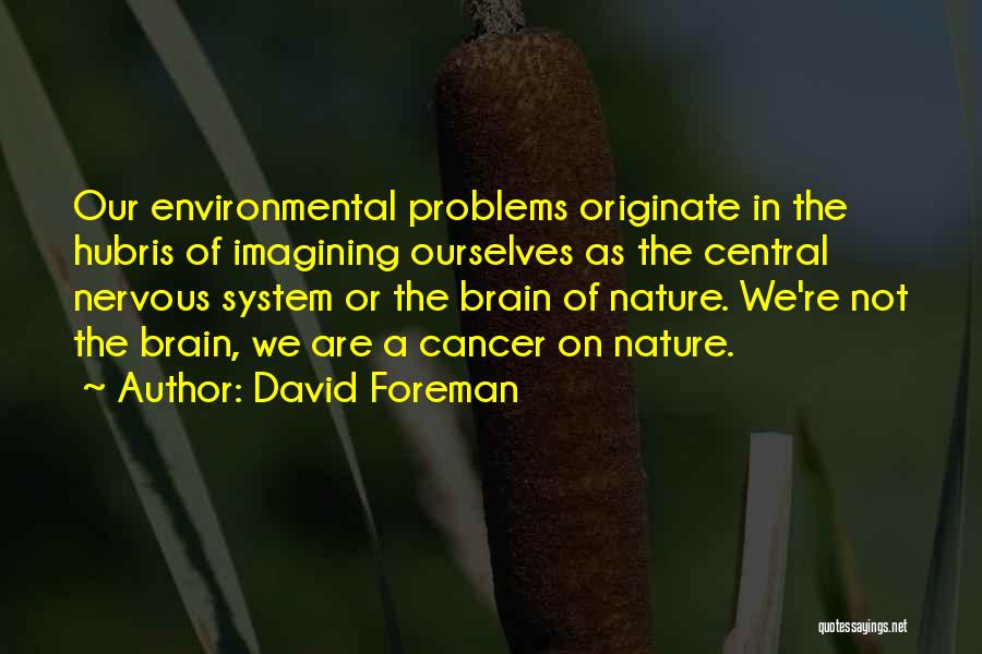 Brain Cancer Quotes By David Foreman