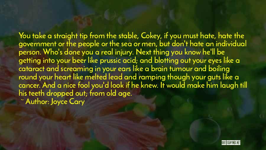 Brain Cancer Quotes By Joyce Cary