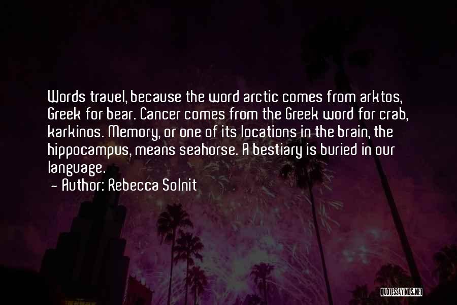 Brain Cancer Quotes By Rebecca Solnit