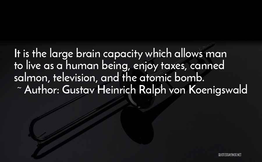 Brain Capacity Quotes By Gustav Heinrich Ralph Von Koenigswald