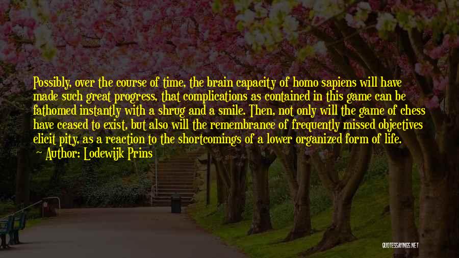 Brain Capacity Quotes By Lodewijk Prins