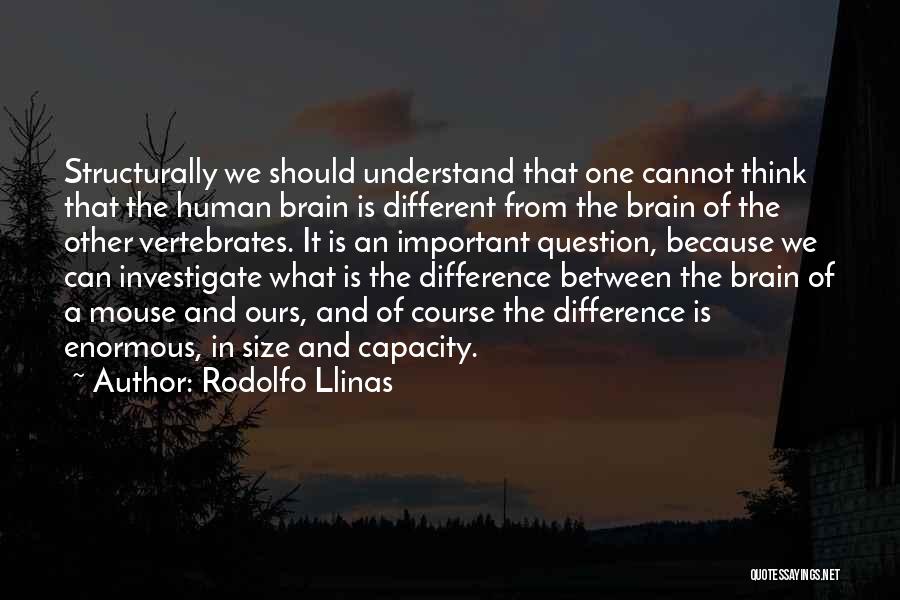 Brain Capacity Quotes By Rodolfo Llinas