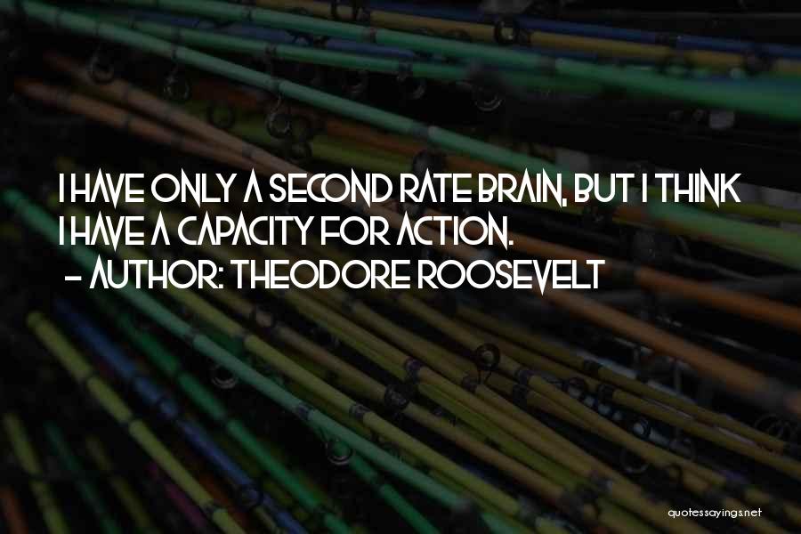 Brain Capacity Quotes By Theodore Roosevelt