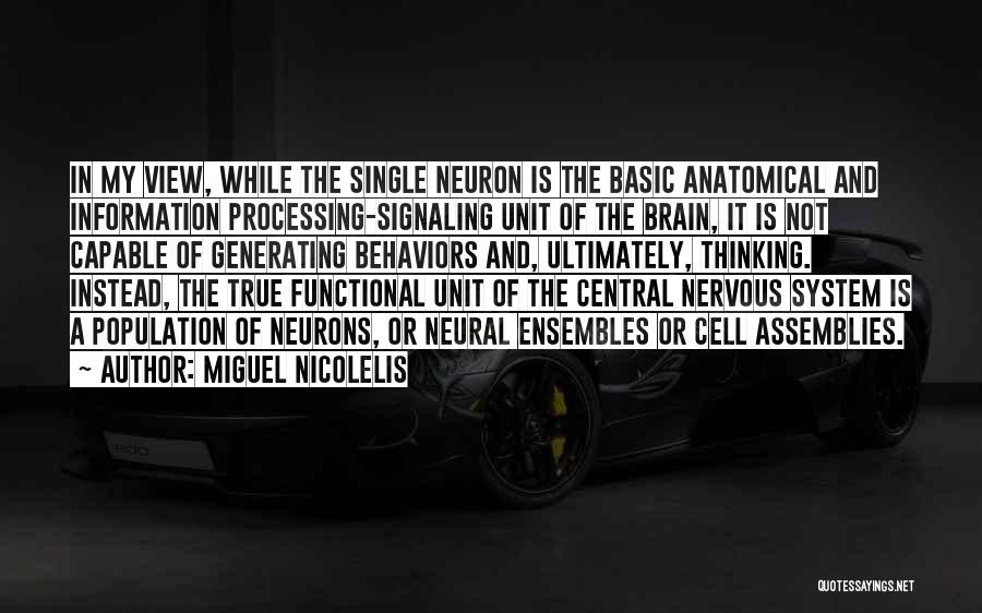 Brain Cell Quotes By Miguel Nicolelis