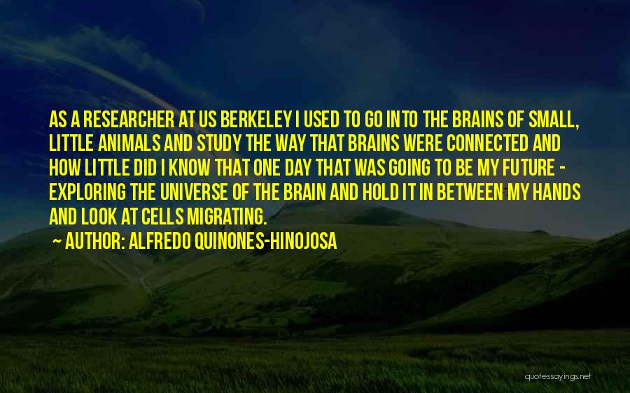 Brain Cells Quotes By Alfredo Quinones-Hinojosa