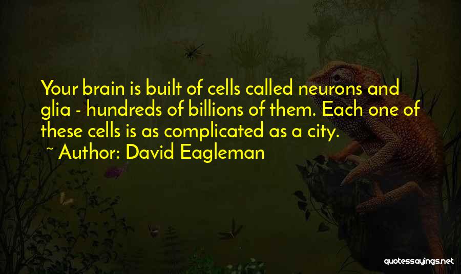 Brain Cells Quotes By David Eagleman