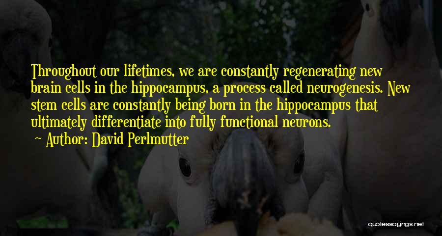 Brain Cells Quotes By David Perlmutter