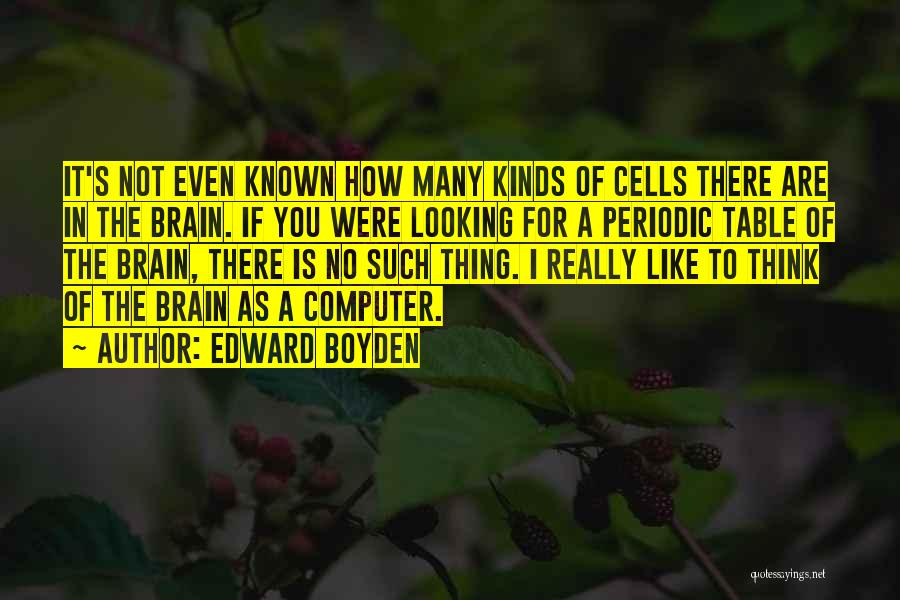 Brain Cells Quotes By Edward Boyden