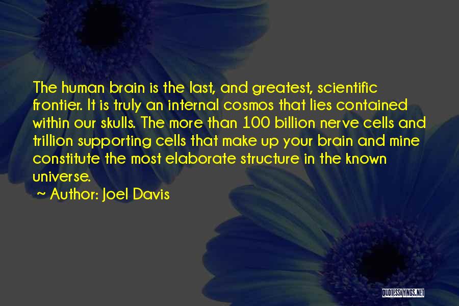 Brain Cells Quotes By Joel Davis