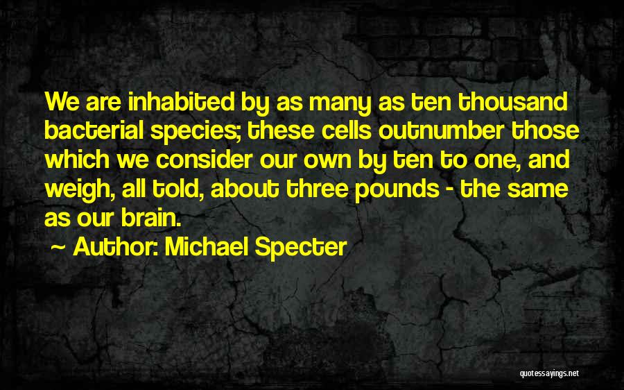 Brain Cells Quotes By Michael Specter