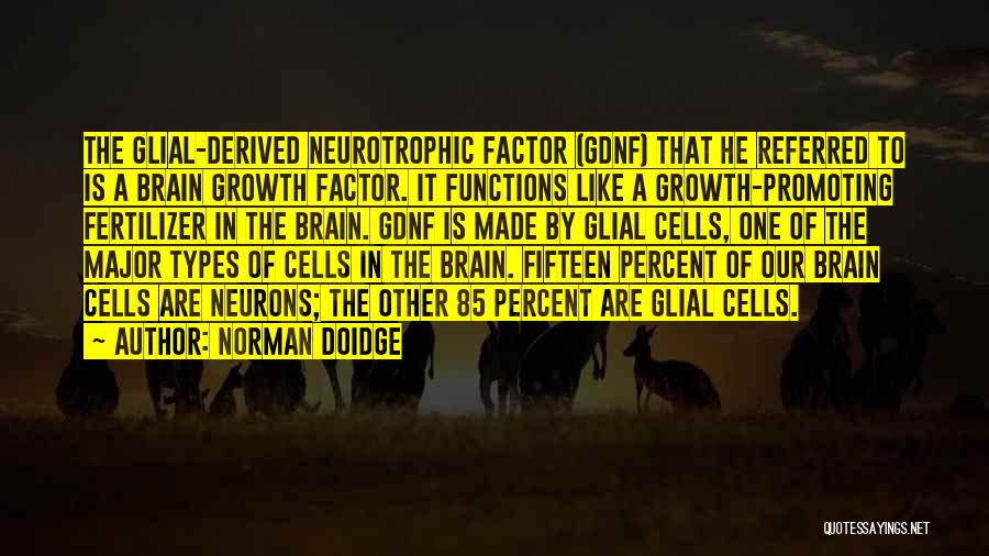 Brain Cells Quotes By Norman Doidge