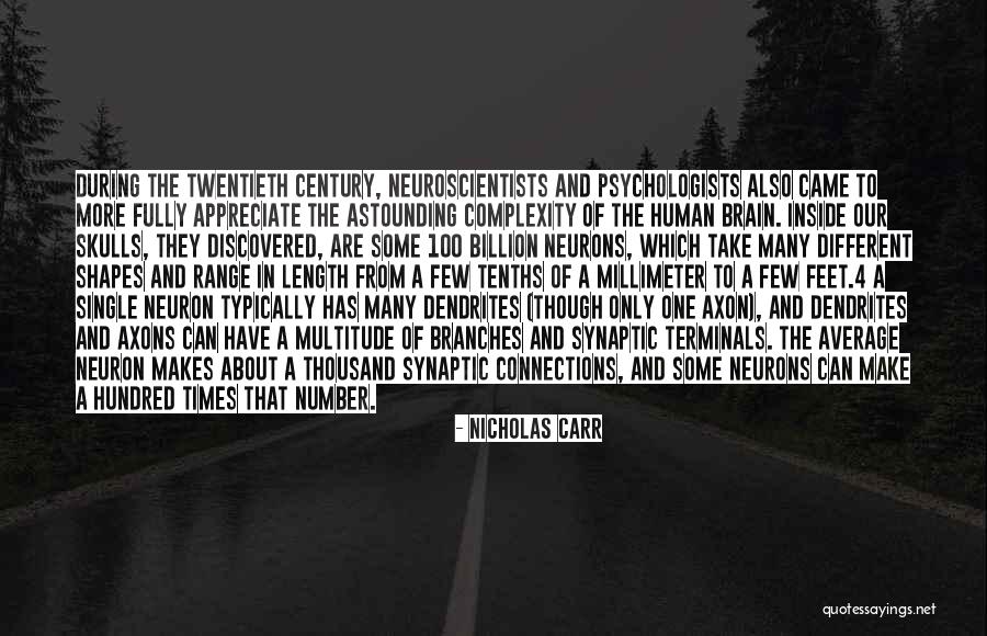Brain Complexity Quotes By Nicholas Carr