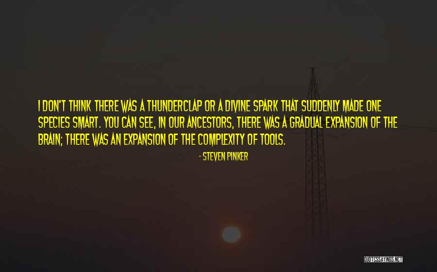 Brain Complexity Quotes By Steven Pinker