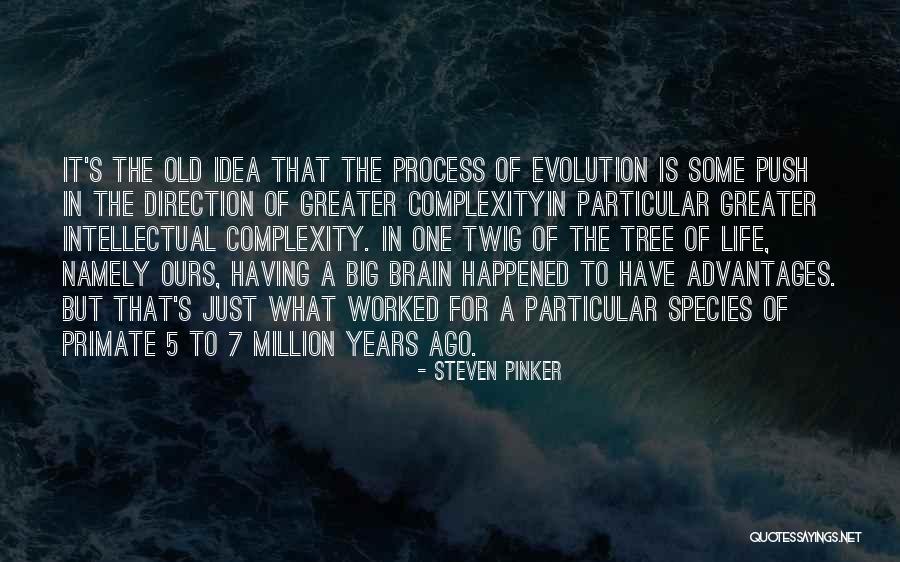 Brain Complexity Quotes By Steven Pinker