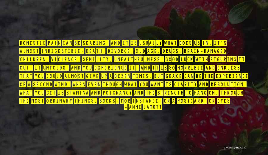 Brain Damaged Quotes By Anne Lamott Brain Damaged Quotes By Anne Lamott