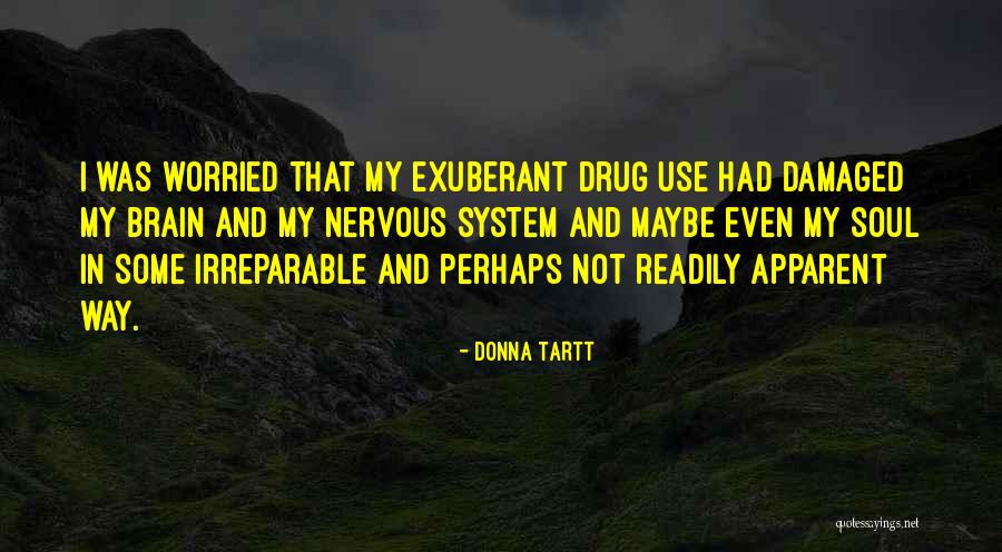 Brain Damaged Quotes By Donna Tartt Brain Damaged Quotes By Donna Tartt