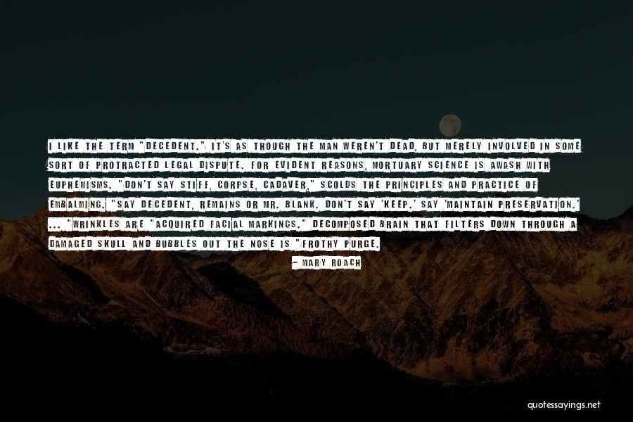 Brain Damaged Quotes By Mary Roach Brain Damaged Quotes By Mary Roach