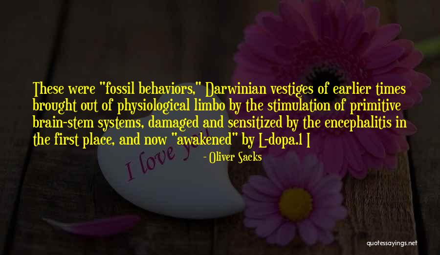 Brain Damaged Quotes By Oliver Sacks Brain Damaged Quotes By Oliver Sacks