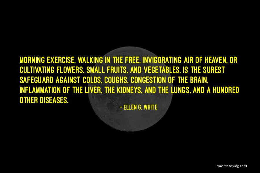 Brain Diseases Quotes By Ellen G. White Brain Diseases Quotes By Ellen G. White