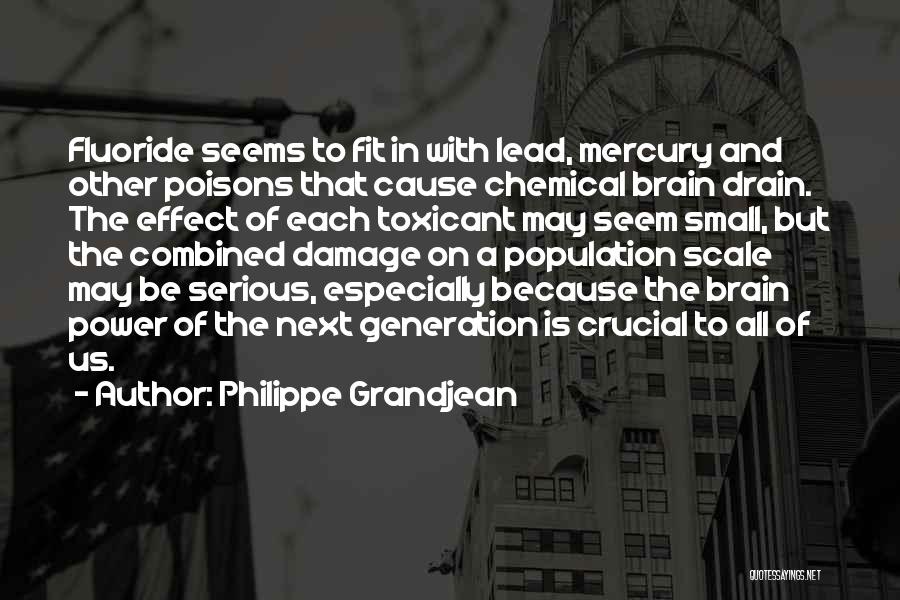 Brain Drain Quotes By Philippe Grandjean