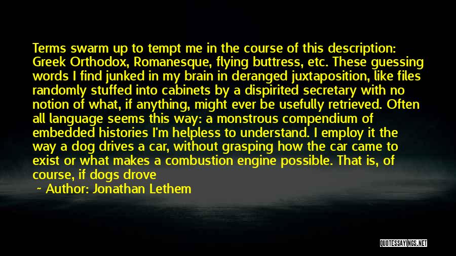 Brain Exist Quotes By Jonathan Lethem