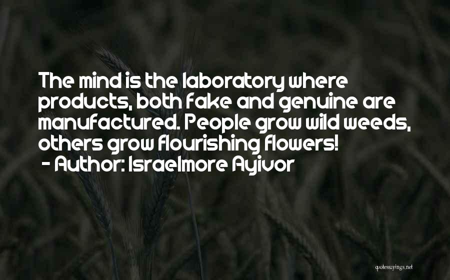 Brain Food Quotes By Israelmore Ayivor