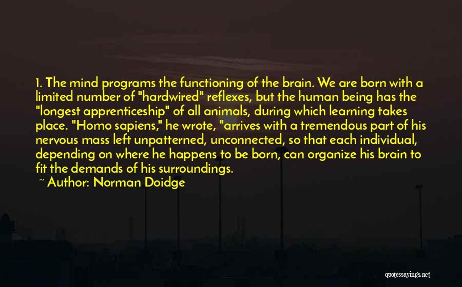 Brain Functioning Quotes By Norman Doidge