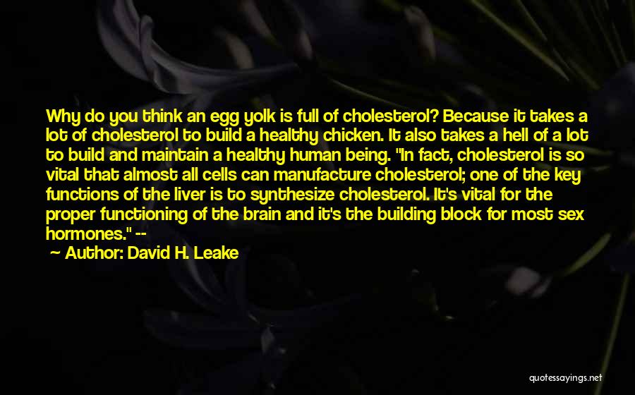 Brain Functions Quotes By David H. Leake