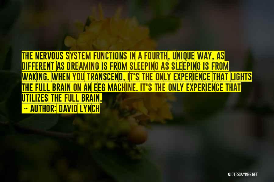 Brain Functions Quotes By David Lynch