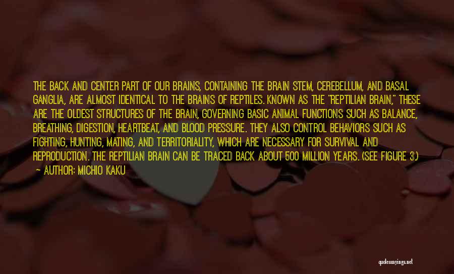 Brain Functions Quotes By Michio Kaku