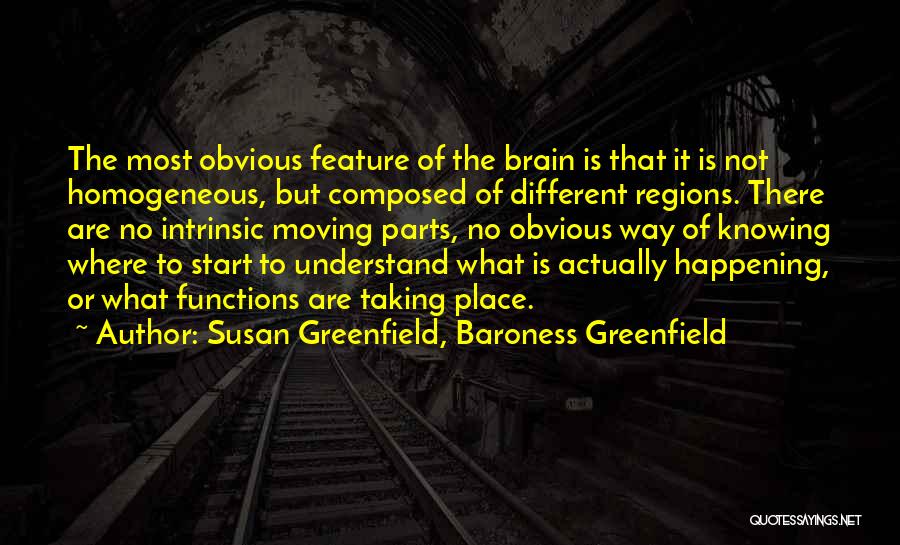 Brain Functions Quotes By Susan Greenfield, Baroness Greenfield