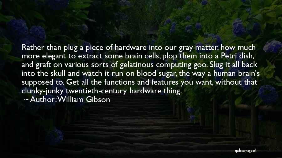 Brain Functions Quotes By William Gibson