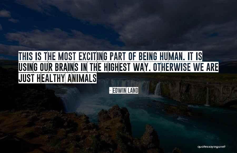 Brain Health Quotes By Edwin Land Brain Health Quotes By Edwin Land