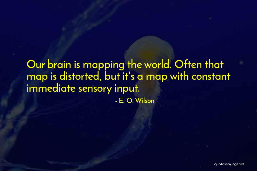 Brain Mapping Quotes By E. O. Wilson Brain Mapping Quotes By E. O. Wilson