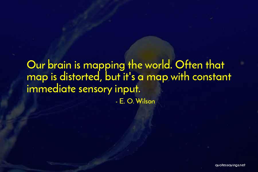 Brain Mapping Quotes By E. O. Wilson