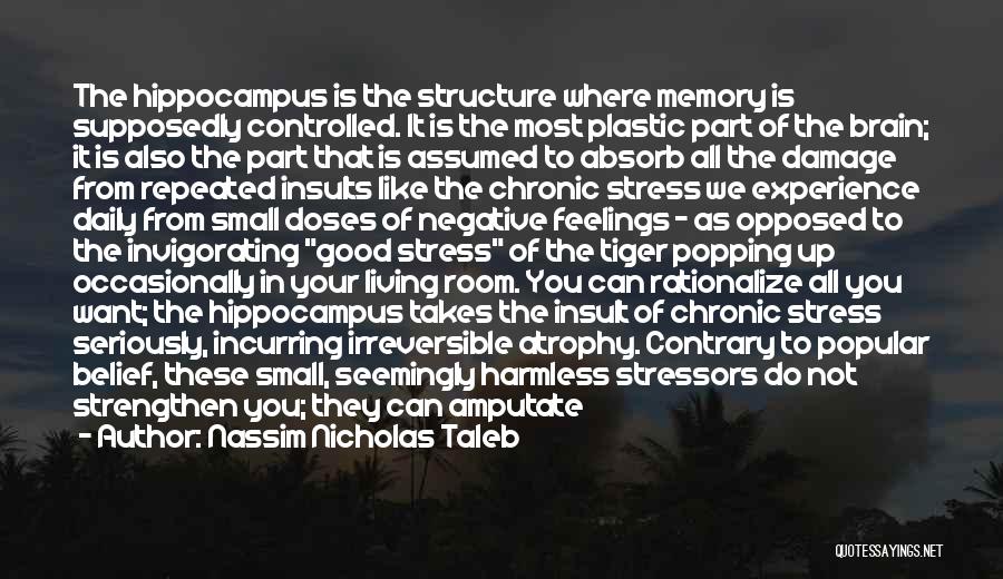 Brain Memory Quotes By Nassim Nicholas Taleb