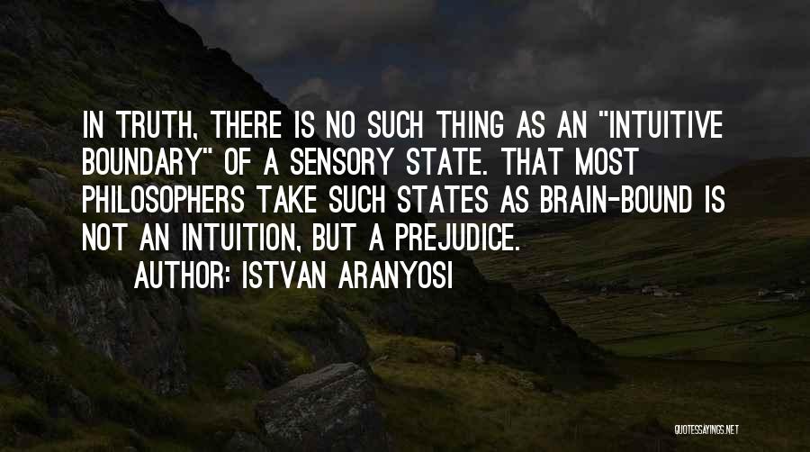 Brain Pain Quotes By Istvan Aranyosi