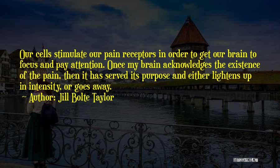 Brain Pain Quotes By Jill Bolte Taylor