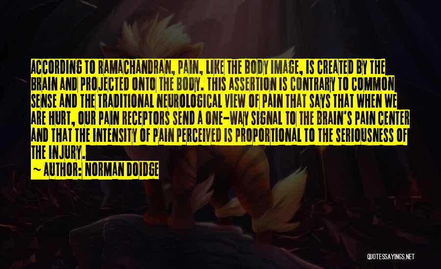 Brain Pain Quotes By Norman Doidge