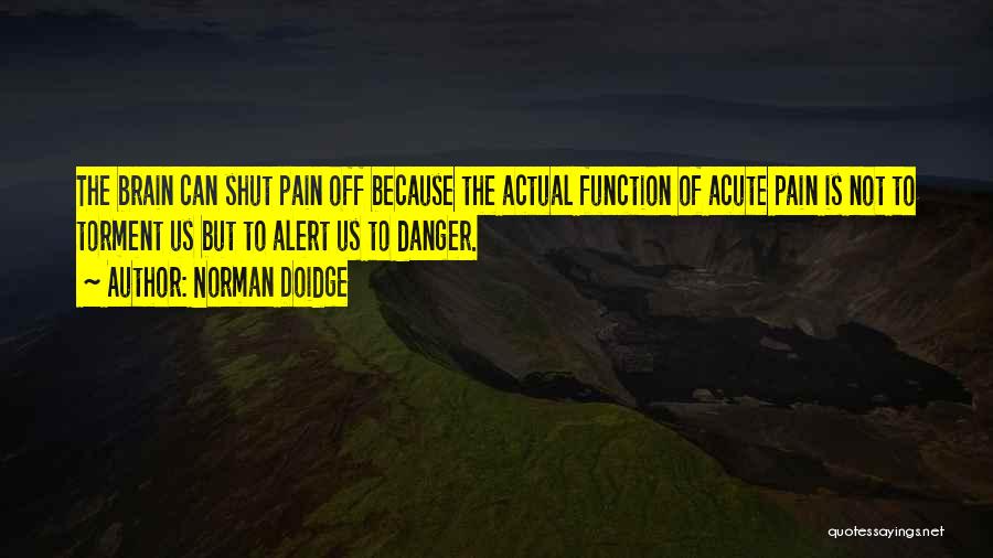 Brain Pain Quotes By Norman Doidge