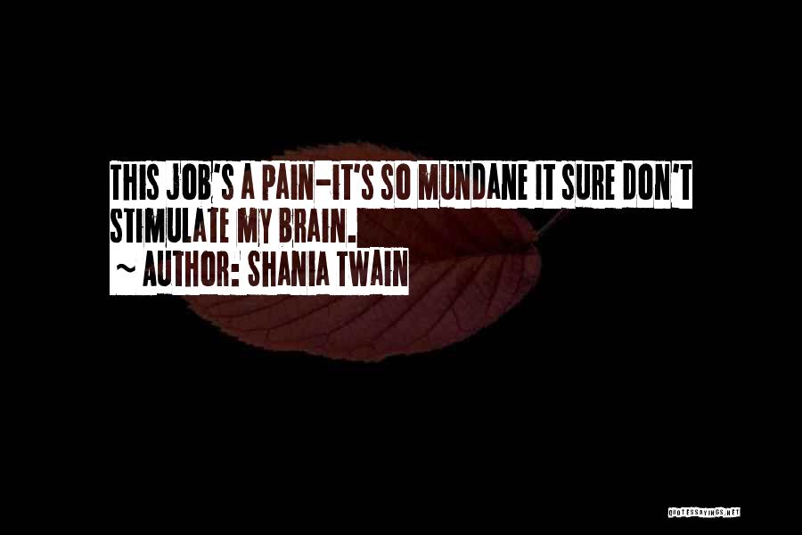 Brain Pain Quotes By Shania Twain